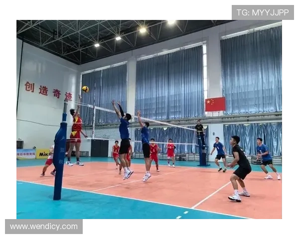 南京排球队在全国排球比赛经验排行榜中荣获第八名的辉煌成就