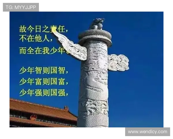 杭州排球队的辉煌征程与冠军赛背后的奋斗故事